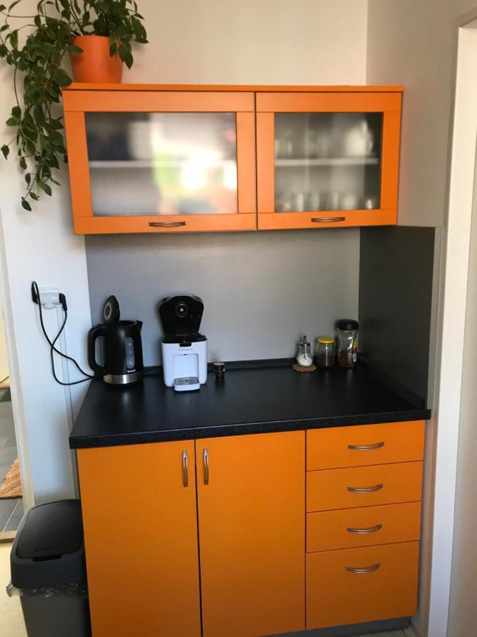 Apartment Corriger Ústí nad Orlicí Esterno foto